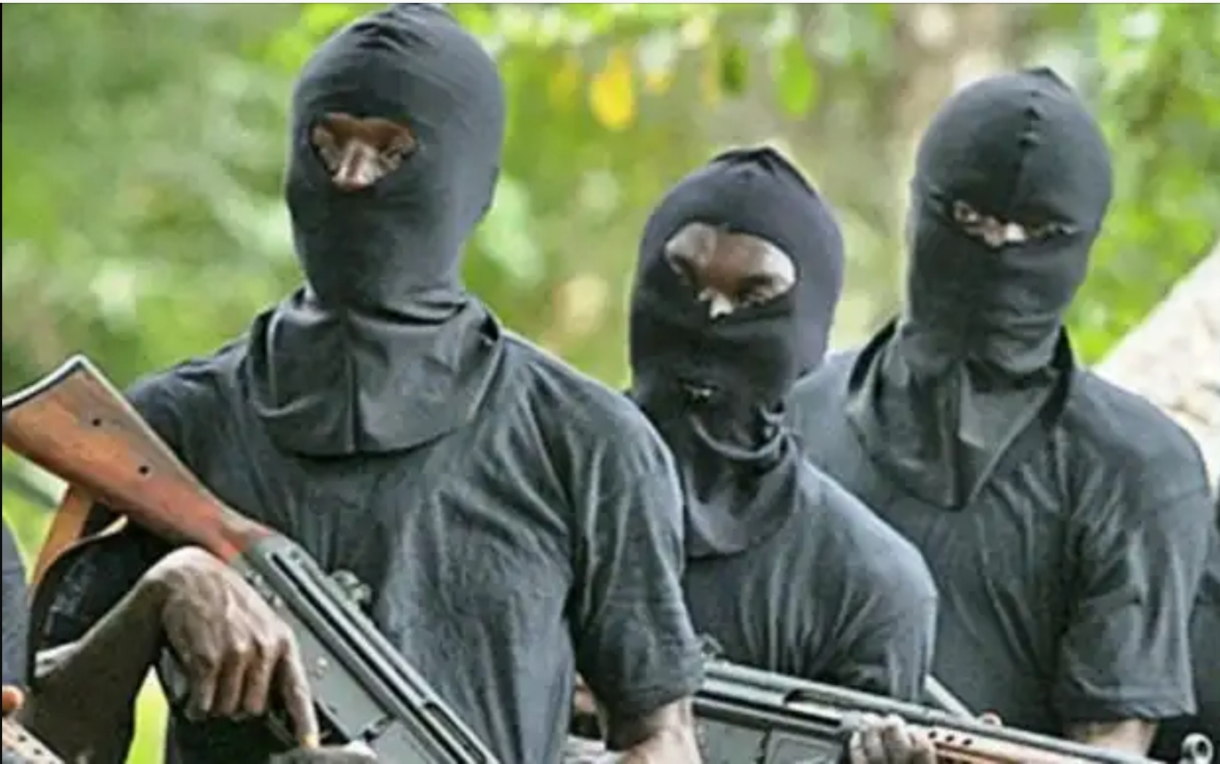 Nine kidnapped,  one killed in two weeks in Nasarawa